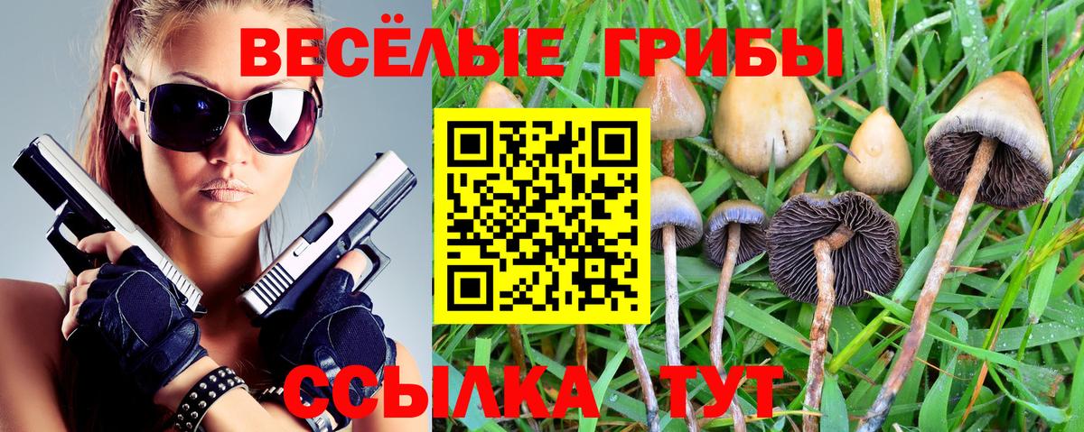 Ефремов  Галлюциногенные грибы Magic Shrooms  Псилоцибиновые грибы MAGIC MUSHROOMS  Вход с VPN 