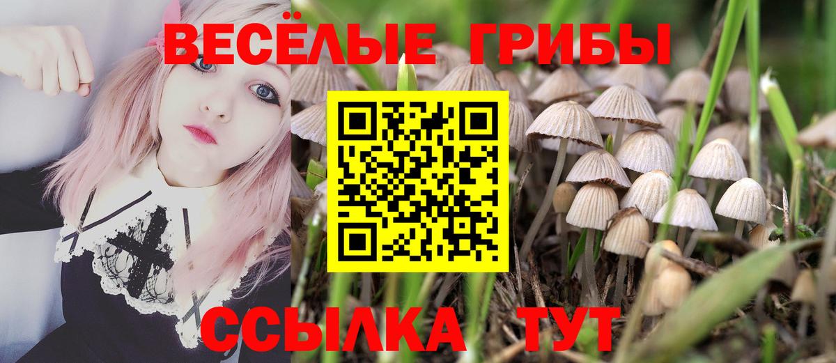 Галлюциногенные грибы Cubensis Ефремов